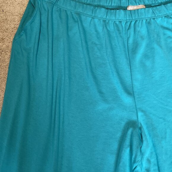 Woman Within Pull On Pants Size 5X Turquoise Elastic Stretch Athleisure Comfort - Picture 2 of 12
